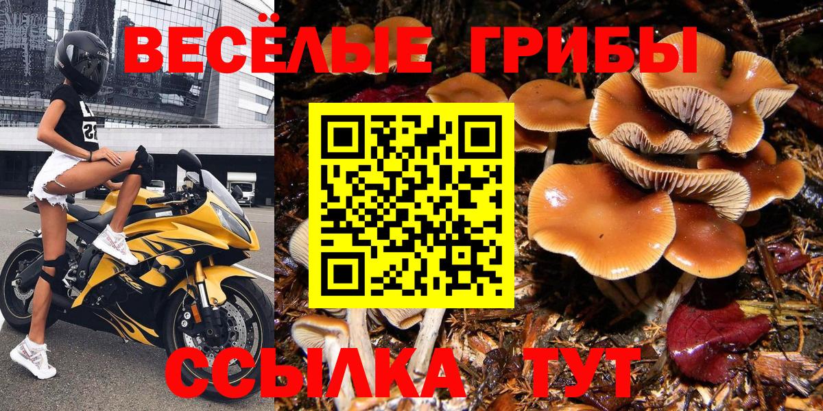 Галлюциногенные грибы Magic Shrooms Качканар